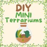 DIY Mini Terrariums 